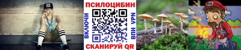 Галлюциногенные грибы Psilocybe  сколько стоит  Кулебаки 